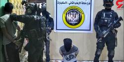 یک فرمانده داعش در فلوجه عراق دستگیر شد