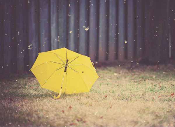اعتماد به نفس  چیزی شبیه چتر است  چتر باران را  م