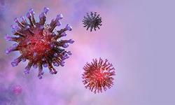 محققان ژاپنی: کرونا ۵ برابر ویروس آنفلوآنزا روی پ