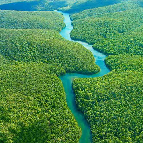 در تمام طول رودخانه آمازون حتی یک پل از سمتی به س