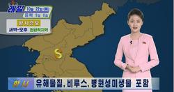 هشدار هواشناسی کره شمالی به مردم: گرد و غبار زرد 