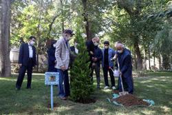 کاشت درخت به یاد عباس جوانمرد در پنجاه و پنجمین س