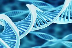 نانوذرات حامل ویراستار‌های ژن طراحی شدند / پیشرفت