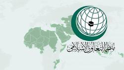 سازمان همکاری اسلامی، اهانت به پیامبر اسلام را مح