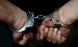 دستگیری 19 نفر از شبکه مجرمانه ارز‌های صادراتی