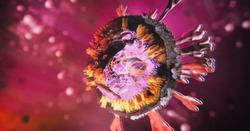کشف نقطه ضعف ویروس کرونا