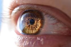 وجود ویروس کرونا در کره چشم با کالبد شکافی قربانی