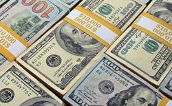 شاخص دلار | سبز پوشی دلار در روز شوک بازار ها