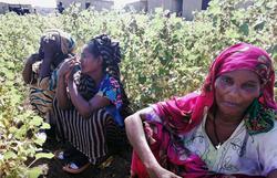 روایت آوارگان تیجری از بمباران و قتل عام غیرنظامی