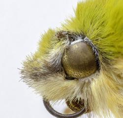 ساخت پوشش‌های آنتی‌رفلکس با الهام از چشم حشرات