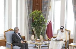 تحویل پیام رئیس جمهور ایران به امیر قطر