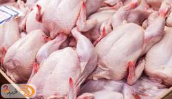 توزیع مرغ گرم با قیمت ۱۸۵۰۰ تومان در بازار