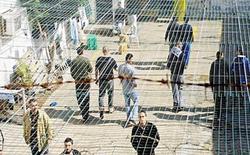بازداشت فلسطینی‌ها و شکنجه آن‌ها در زندان‌های رژی