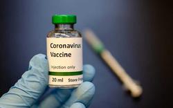 کدام واکسن کرونا بهتر عمل خواهد کرد؟