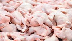 کاهش ۷۰درصدی تقاضا برای خرید مرغ