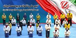 کسب ۱۷ مدال رنگارنگ ایران در مسابقات آنلاین پومسه
