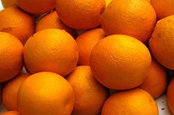 قیمت پرتقال در باغ، ۸ تا ۱۰ هزار تومان است/ صادرا