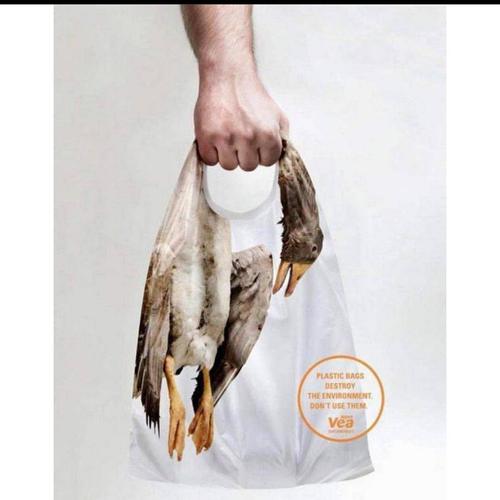 Plastic bags kill