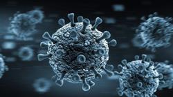 یافته جدید دانشمندان ویروس کرونا را نوعی بیماری خ