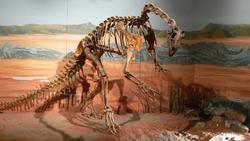 بازسازی مغز یکی از قدیمی‌ترین دایناسورهای دنیا به