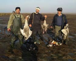 دستگیری عاملان کشتار ۲۶ پرنده وحشی در گلستان