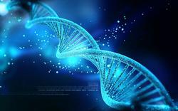 ساخت کاوشگر سرطان با استفاده از DNA
