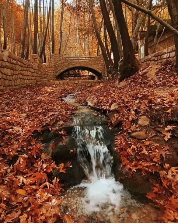 ورق بزنید دوستان 🌹🌹🍀🍀