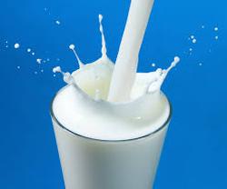 فواید و خطرات مصرف شیر