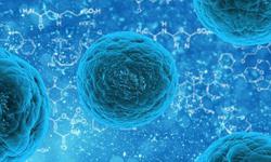 جهش‌های عامل سرطان در سلول‌های بنیادی انسان دیده 