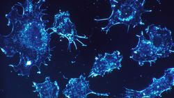 طراحی نانوذراتی که فقط سلول‌های سرطانی را نابود م