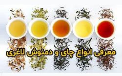 معرفی 10 نوع چای لاغری برای چربی سوزی سریع و بدون