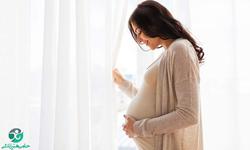 هفته سوم بارداری | علائم و تغییرات مادر در هفته س