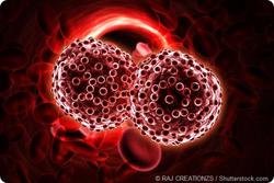 ترکیب ۲ روش ایمنی درمانی برای درمان سرطان خون