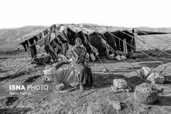 برخورداری ۲۵هزار خانوار عشایری از آب آشامیدنی سال