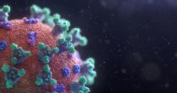 کشف "نانوبادی‌های" جدیدی که کروناویروس را خنثی می