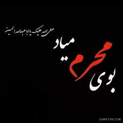پیام رسان حسینی باشیم در ایام محرم با پیوستن به پ
