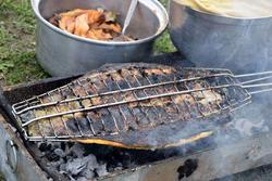 آموزش و طرز تهیه ماهی کبابی ، دلچسب ترین روش پخت 