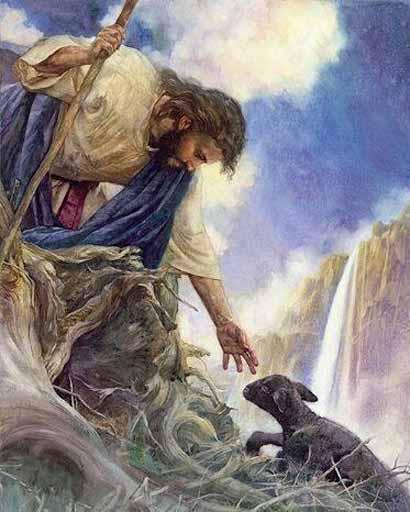 مهربانی بر حیوانات  گویند روزی موسی علیه السلام د