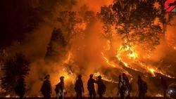 آتش سوزی کالیفرنیا جان سه نفر دیگر را گرفت