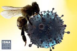 ویدئو / از ربات مقاله‌نویس تا تأثیر زنبور عسل بر 