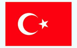مخالفت ترکیه با تصمیمات اتحادیه عرب درباره این کش