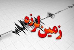 تعداد زمین‌لرزه های ثبت شده در مرداد ۱۳۹۹
