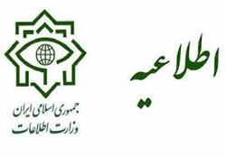 وزارت اطلاعات: دستگیری شبکه سازمان یافته‌ای از دل