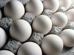 حداکثر قیمت هر کیلوگرم تخم مرغ فله برای مصرف کنند