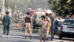 ۶۵ نیروی طالبان در درگیری‌های «پکتیکا» کشته شدند