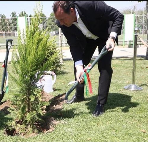 با ١٦٦ میلیارد تومن میشه تمام ایران رو درخت کاشت،