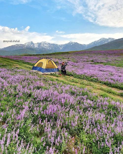 دامنه اشترانکوه، طبیعت الیگودرز، لرستان