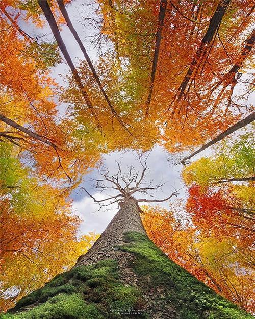 🌹 طبیعت زیبایِ پاییزیِ رامسر