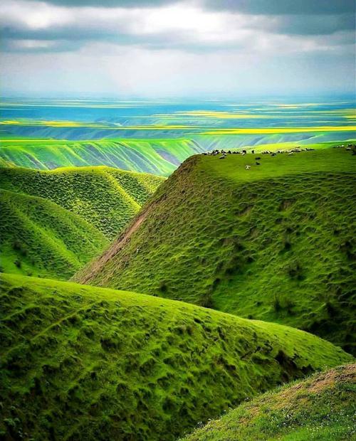 🌹 ترکمن صحرا _ گلستان