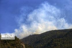 آتش سوزی در جنگل جواهر ده رامسر